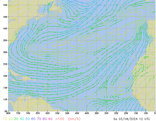 Sa 03.08.2024 12 UTC